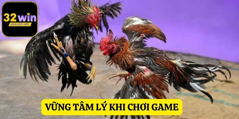 Khi cá cược chiến kê cần phân tích lịch sử thi đấu chi tiết